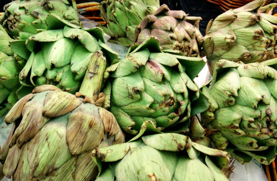 Vegetable