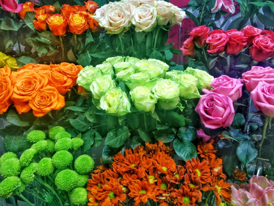 Flowers