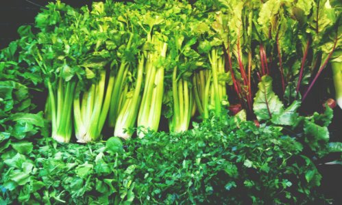 Food, Organic, Super market