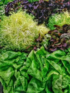 Food, Nature, Leafy