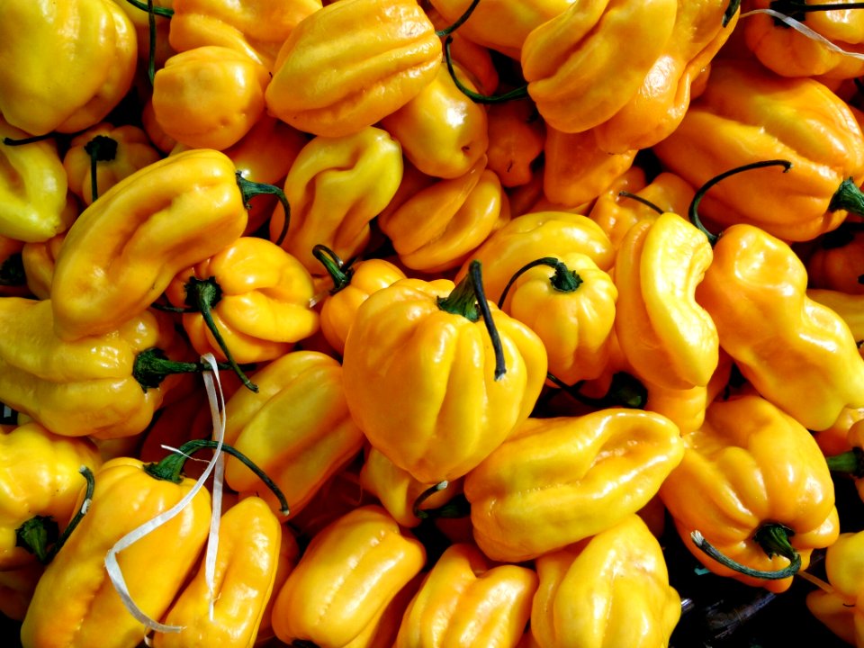Yellow, Nature, Food