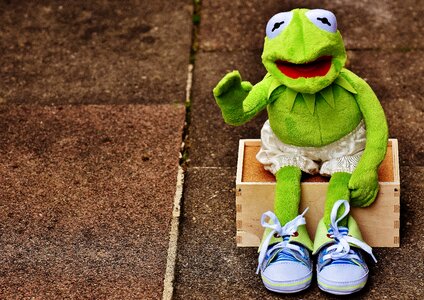 Sneakers pants frog photo
