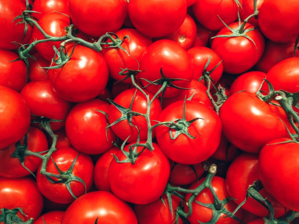 Ketchup, Nature, Red