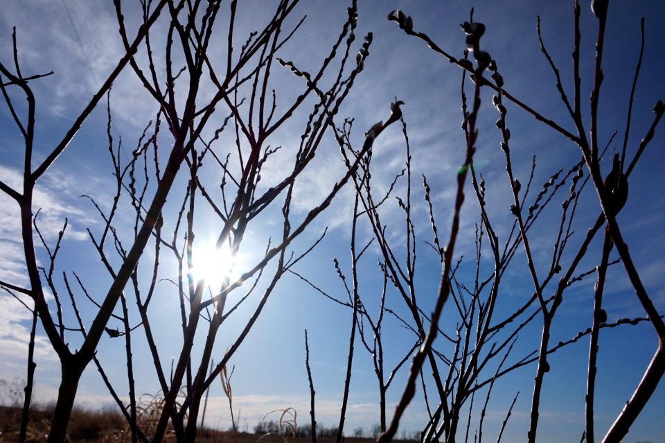 Canada, Blue, Sky