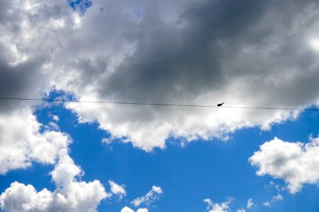 Unsplash, Power, Line