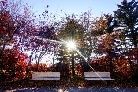 Color, Colour, Orange
