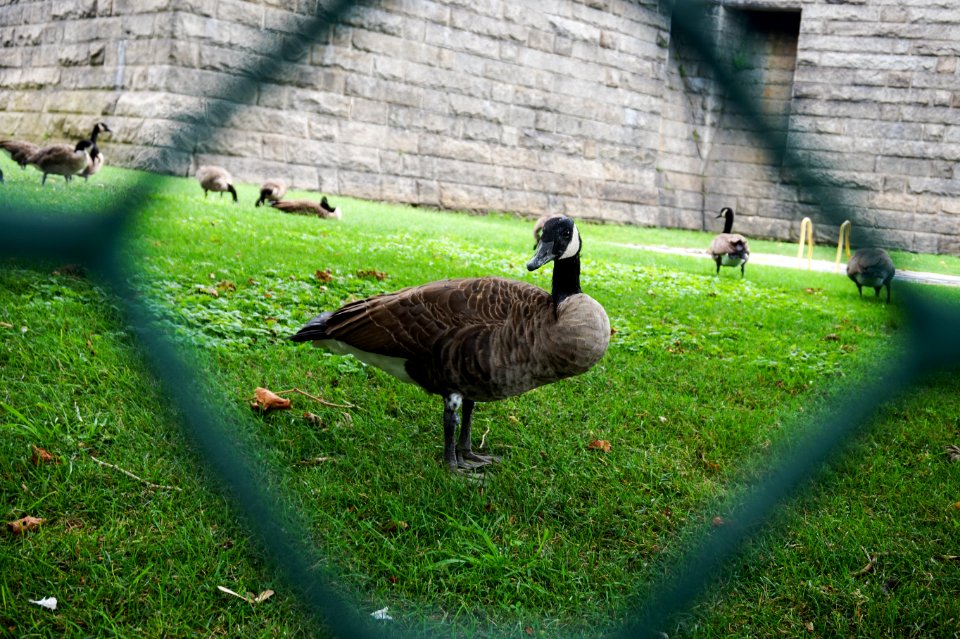 New york, United states, Group