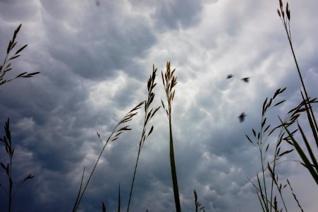 Unsplash, Picture, Pictures