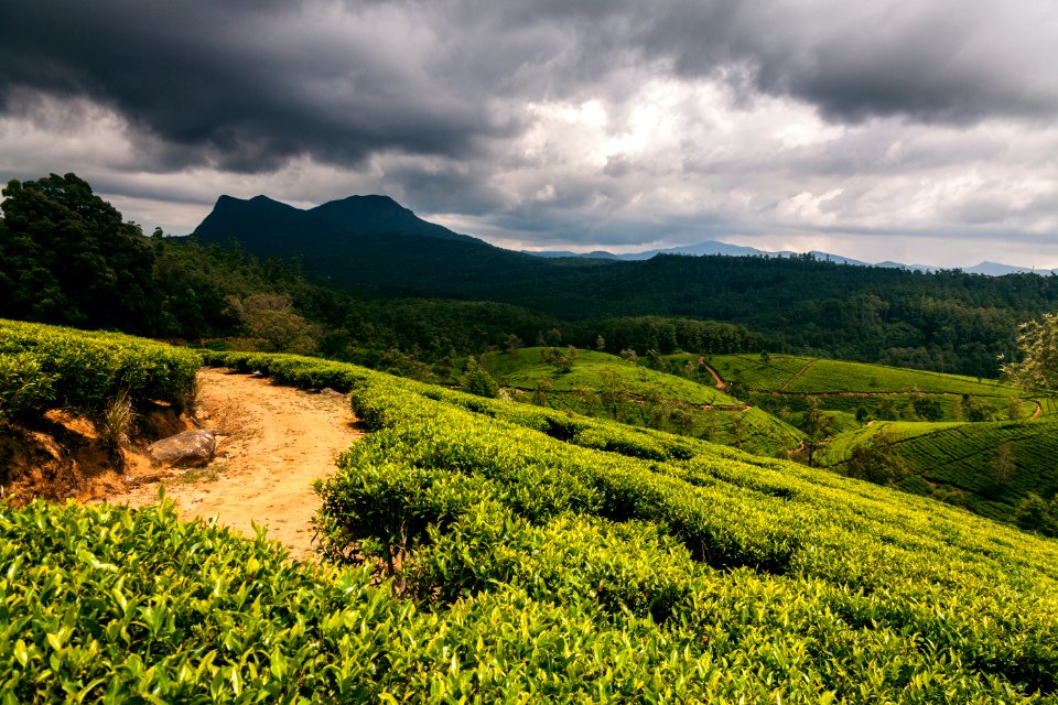 Nuwara eliya, Sri lanka, Asia