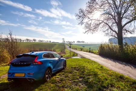 Nature, Road, Limburg photo