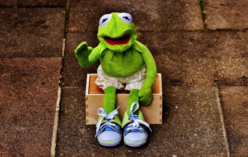 Sneakers pants frog