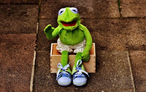 Sneakers pants frog photo