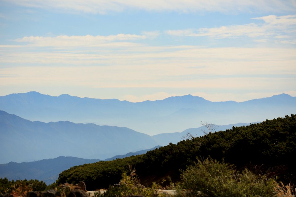 mountains covered with green plants