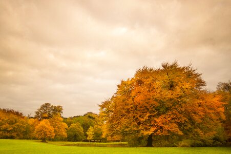 Autumn fall colorful