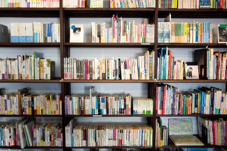 assorted books on brown wooden shelf at daytime photo