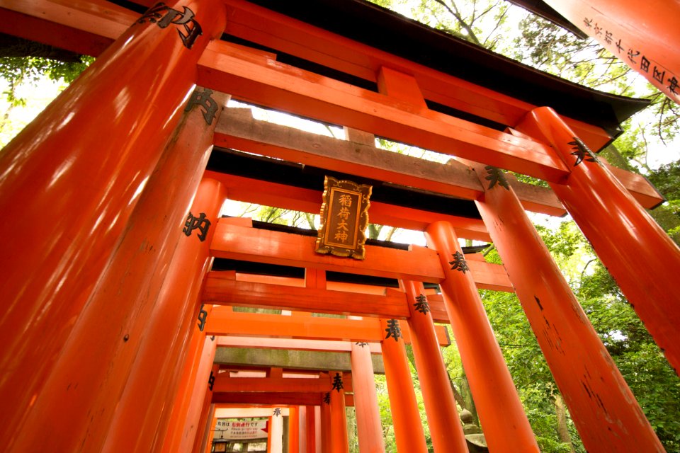 red and black wooden tori