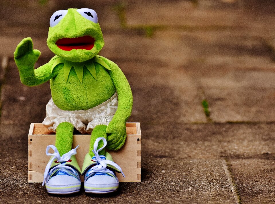 Sneakers pants frog