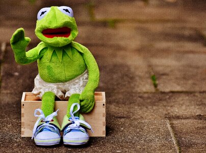 Sneakers pants frog photo