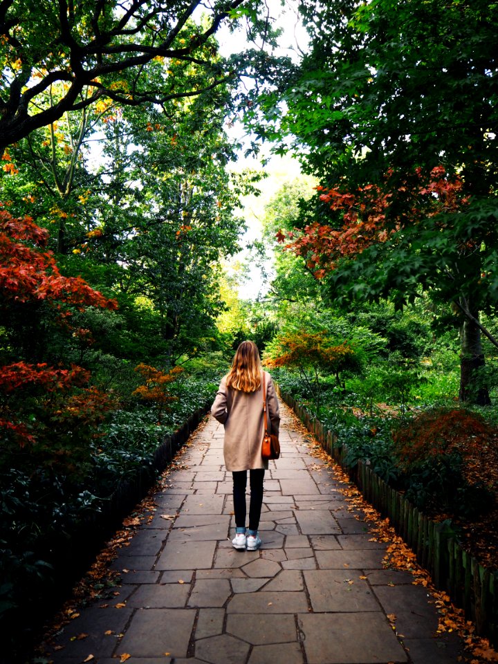 London, Holl, Park