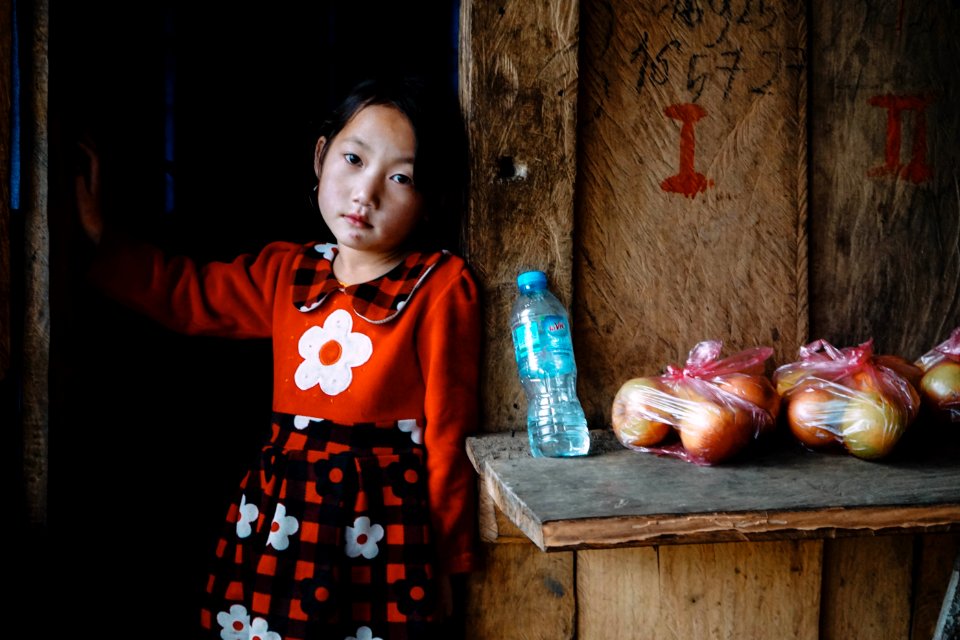 Vietnam, B ch m c l  ng t , People