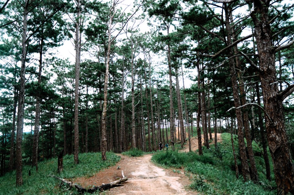Vietnam, T nng, Travel