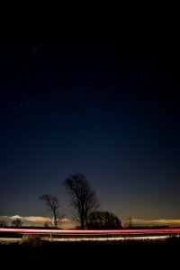 time lapse photography of vehicle crossing between bare trees under starry night