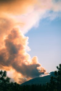 trees and mountain with smoke at daytime