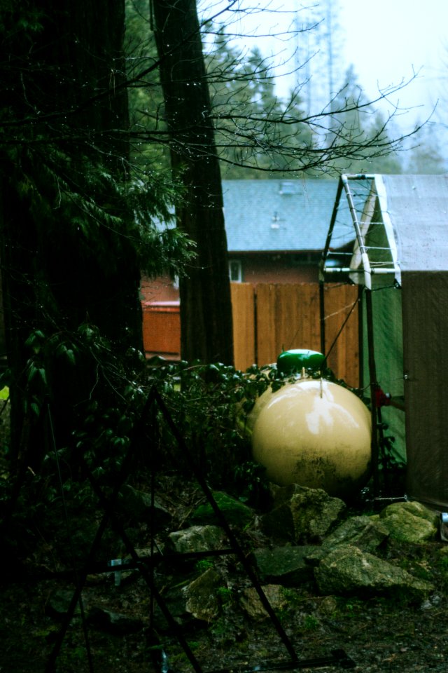 North fork, United states, Bush