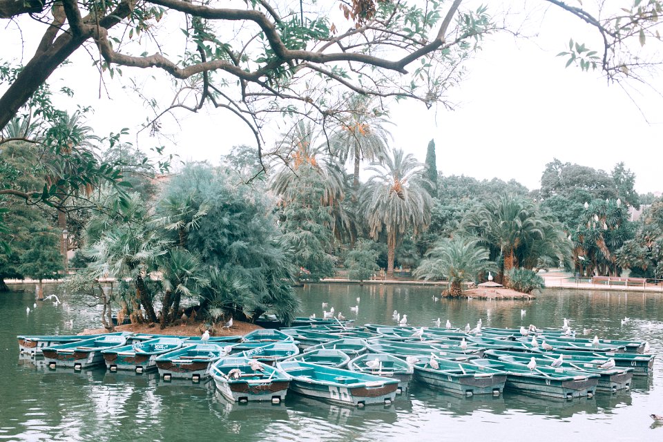 Barcelona, Spain, Canon