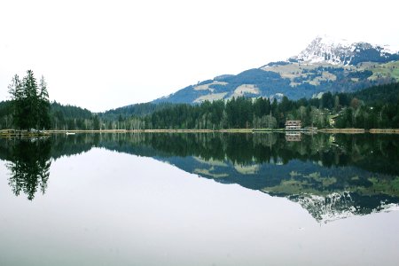 landscape photo of a lake beside trees photo