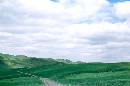 photo of green hill under cloudy white sky photo