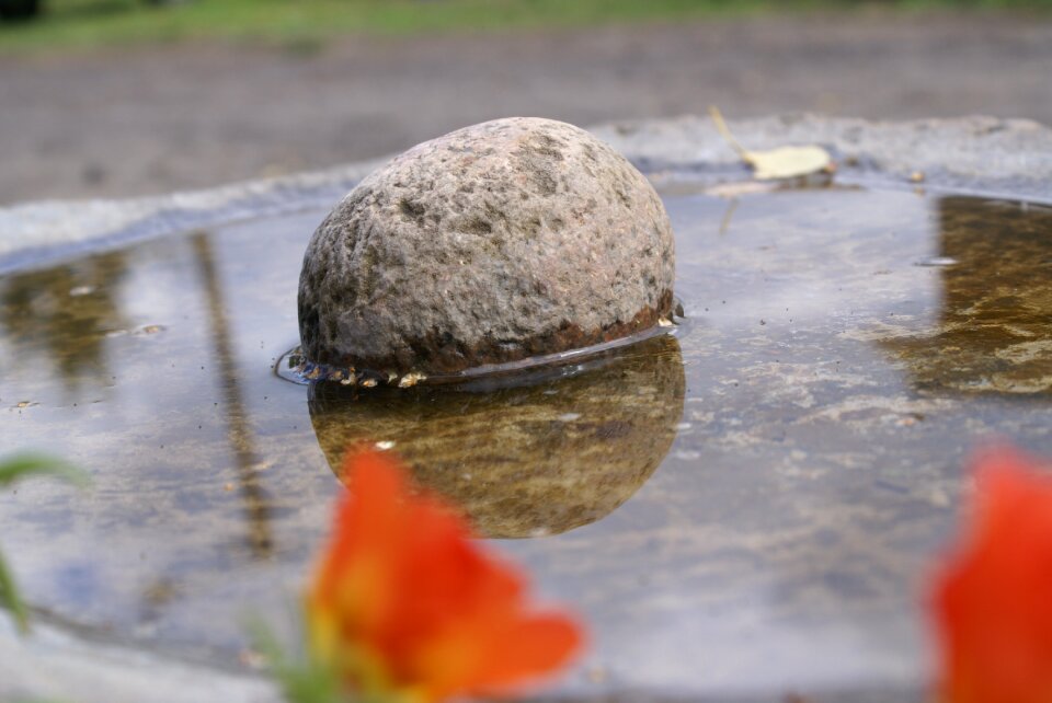 Nature wet the stones