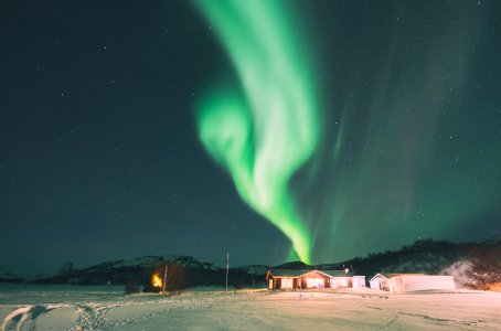 aurora borealis during winter photo