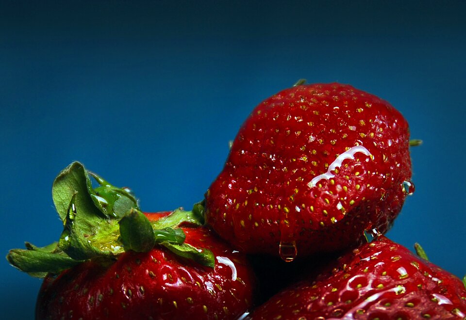 Fresh healthy organic