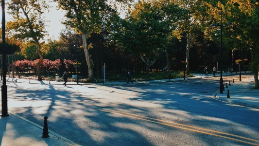 Architecture, Road, Tree