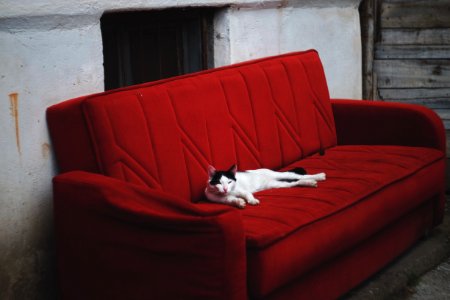 Retro, Old, Animals