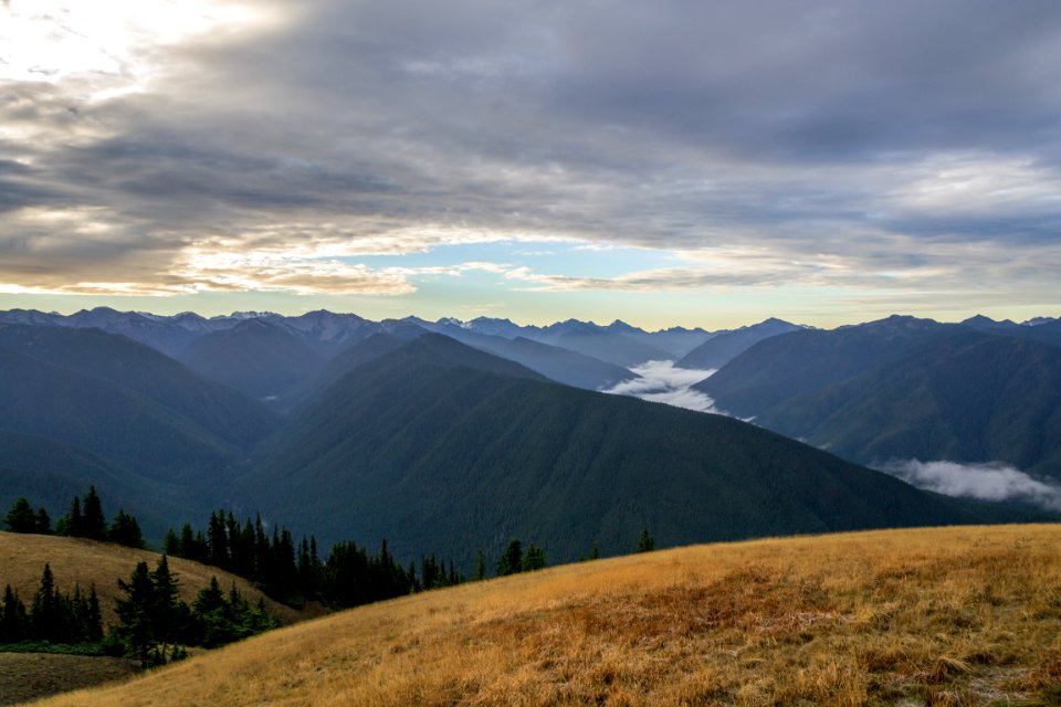 Heart of the hills campground, Port angeles, United states