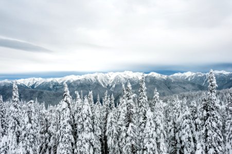 Heart of the hills campground, Port angeles, United states