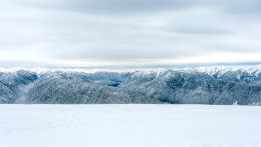 Olympic national park, Port angeles, United states photo