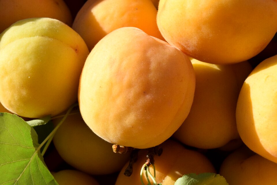 Healthy fruits food