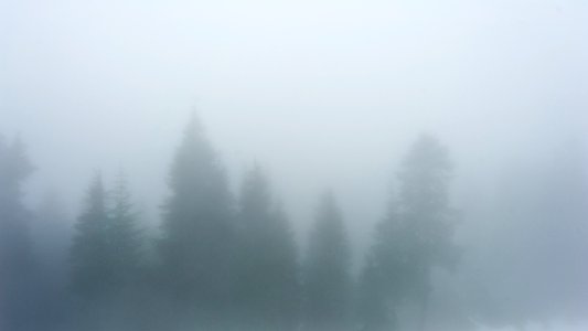 Vancouver, Fog, Shapes