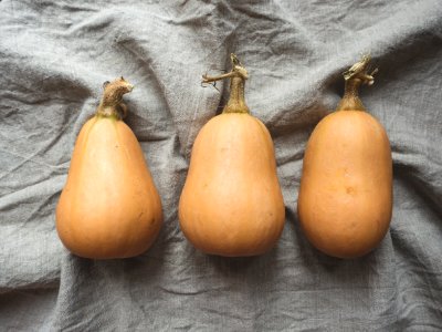 three orange pumpkins photo