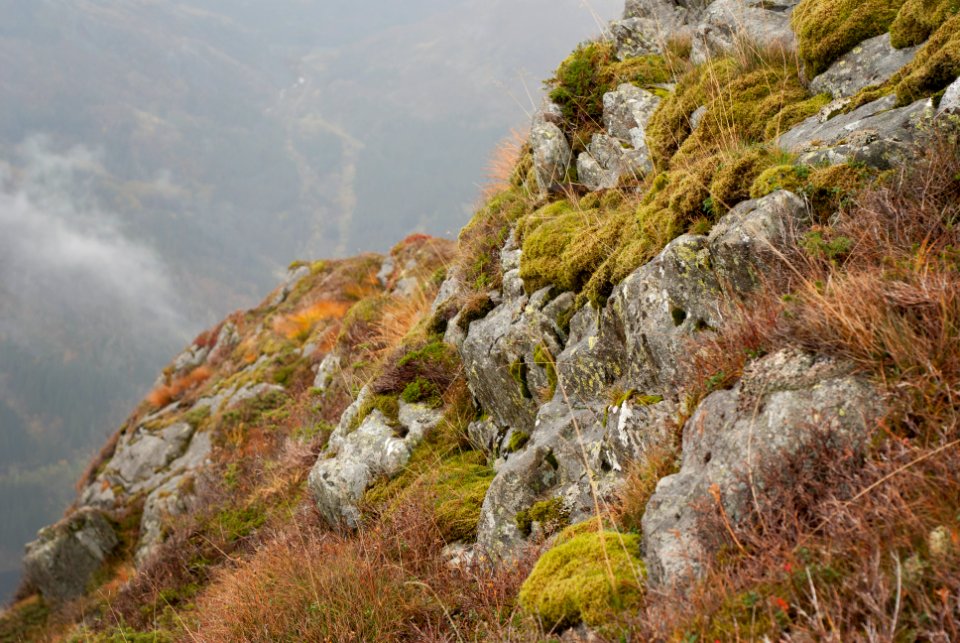 gray rocks photo