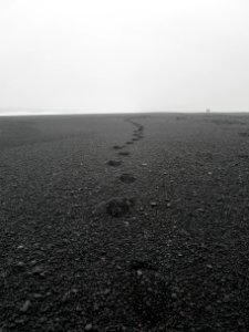 black sand and stones