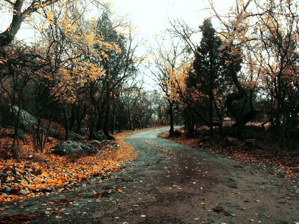 Crimean peninsula, November, Rural