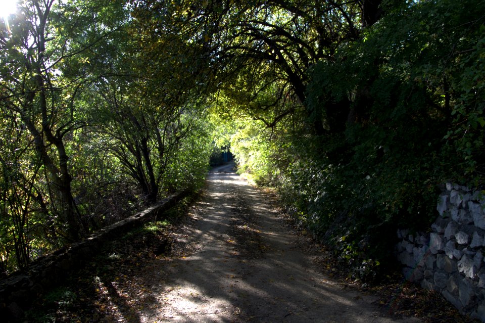 Way, Sunny, Road