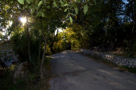 Way, Road, Rural road