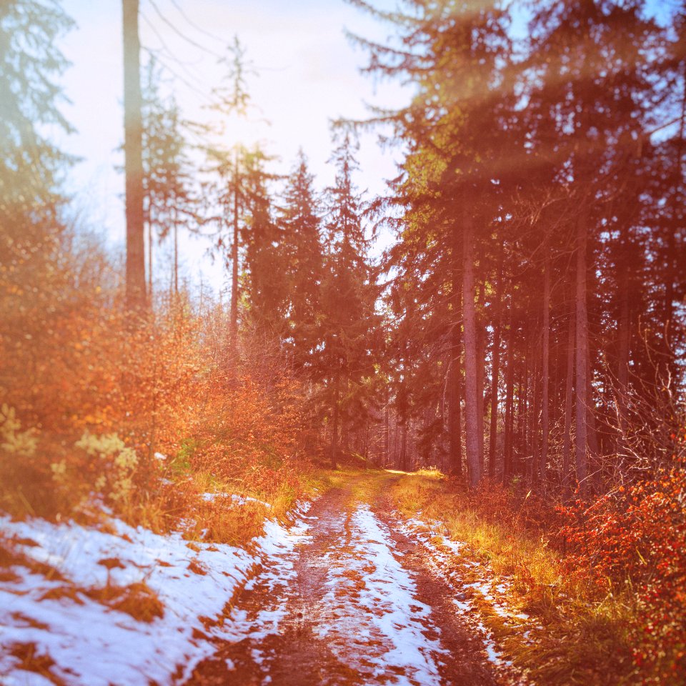 Road, Nature, Mount la