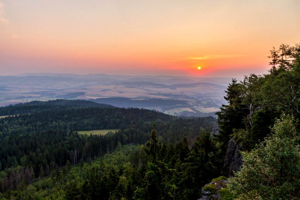 green forest with clouds during golden hour