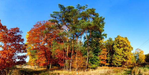 Panorama, Happy, Nature